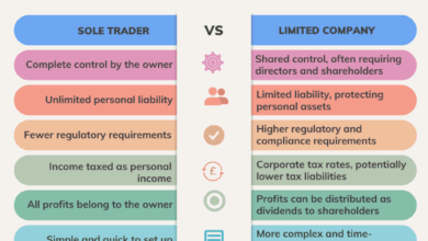 UK Business Structures for Expats: Sole Trader vs. Limited Company